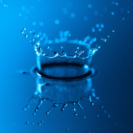 ��˹�����